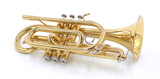 Carolbrass CCR-2000-YSS-L Bb Cornet 