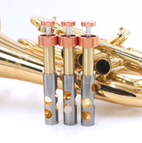 Taylor by Carolbrass Phat Puppy Pocket Flugelhorn in Clear Lacquer 