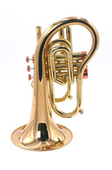 Taylor by Carolbrass Phat Puppy Pocket Flugelhorn in Clear Lacquer 