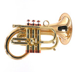Taylor by Carolbrass Phat Puppy Pocket Flugelhorn in Clear Lacquer 