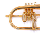 Pre-Owned Adams Sonic Flugelhorn in Gold Lacquer 