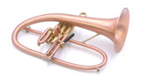 Bell BTF7 Axis Model Flugelhorn in Satin Lacquer 