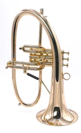 Bell BTF9 Axis Model Flugelhorn in Clear Lacquer 