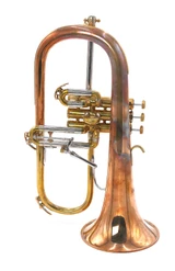 Pre-Owned Schilke 1040FL Flugelhorn w/Bronze Bell in Raw Brass 