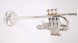 Incredible bargain:  Y-Fort  742 Long Bell Eb/D Trumpet in silver with gold trim
