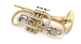  Bach Large Bore  Stradivarius 184  Shepherds' Crook Cornet: Great player!