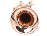 The Amazing AR Resonance Romantica Trumpet in Clear Lacquer fresh from ITG! 