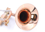The Amazing AR Resonance Romantica Trumpet in Clear Lacquer fresh from ITG! 