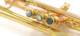 Y-Fort YTR-844GL Bb Trumpet in Clear Lacquer 
