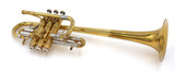 Pre-Owned Bach Stradivarius 239 Long Bell Eb Trumpet w/ Tunable Bell in Clear Lacquer 