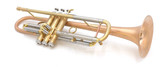 Thane Standard Series Sequoia Trumpet in Raw Brass 