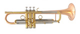 Thane Standard Series Sequoia Trumpet in Raw Brass 