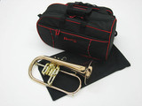 Brasspire 933-2b (Heavy Weight Style) Professional Bb Flugelhorn in Satin Lacquer 