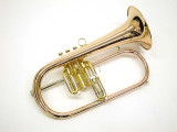 Brasspire 933-2b (Heavy Weight Style) Professional Bb Flugelhorn in Satin Lacquer 