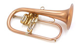 Brasspire 933-2b (Heavy Weight Style) Professional Bb Flugelhorn in Satin Lacquer 