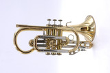 Bach Large Bore  Stradivarius 184  Shepherds' Crook Cornet: Great player