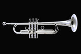 Just arrived!  Schilke B1 Trumpet in Silver Plate:  A classic! 