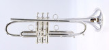 Bell Trumpets " The Tank" in Silver Plate:  Huge sound and response!