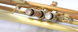 Full Satin beauty:  CarolBrass  Phosphor Bronze Trumpet CTR-4340L-YLT-SL