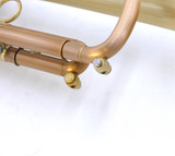  Full Satin beauty:  CarolBrass  Phosphor Bronze Trumpet CTR-4340L-YLT-SL