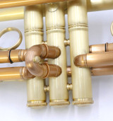  Full Satin beauty:  CarolBrass  Phosphor Bronze Trumpet CTR-4340L-YLT-SL