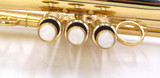 CarolBrass 4000-YSS-Bb-L  Flugelhorn in Lacquer 