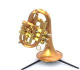 FULL SATIN beauty!   CarolBrass CPT-7090-RLM  DIZZY  Pocket  Trumpet