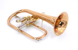  Red Brass Beauty! Carol Brass 6200-rss Flugelhorn in  clear lacquer