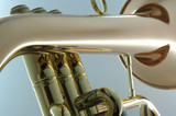  Red Brass Beauty! Carol Brass 6200-rss Flugelhorn in  clear lacquer