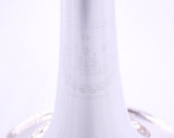 Back to school DEAL!  B&S "Benny Brown" Model Personality Trumpet