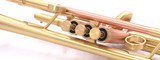 Show Demo Bell Trumpets 9-352-Bimetal 430 YC in Satin Lacquer 