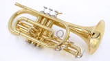 Shop Demo Carolbrass CCR-2000-YSS-L Bb Cornet 