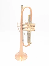 Pre-Owned AR Resonance Romantica Trumpet in brushed lacquer with polished inner bell