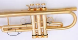 Monette B993 Trumpet in Gold Plate with case and STC3  B2 mouthpiece