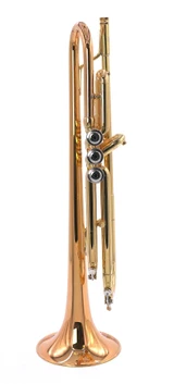 Flash sale!!!  Scodwell "Mike Vax" Trumpet w/ Rose brass bell