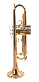 Flash sale!!!  Scodwell "Mike Vax" Trumpet w/ Rose brass bell