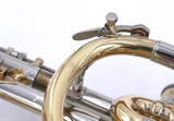 Pre-Owned Bach Stradivarius 184 ML Bore Shepherds Crook Cornet in Clear Lacquer