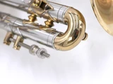 Pre-Owned Bach Stradivarius 184 ML Bore Shepherds Crook Cornet in Clear Lacquer