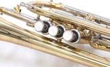 Pre-Owned Bach Stradivarius 184 ML Bore Shepherds Crook Cornet in Clear Lacquer
