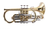 Pre-Owned Bach Stradivarius 184 ML Bore Shepherds Crook Cornet in Clear Lacquer