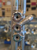 A lot of horn in this listing!  Harrelson Rumors Trumpet SN20 out of 31 in brushed silver
