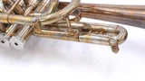  We have one in STOCK! Del Quadro  Picasso cornet  in lacquer