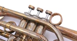  We have one in STOCK! Del Quadro  Picasso cornet  in lacquer