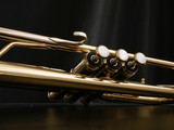 Custom Adams A2 Trumpet:  Build your Own