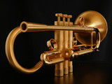 Custom Adams A4 Trumpet: Build your Own