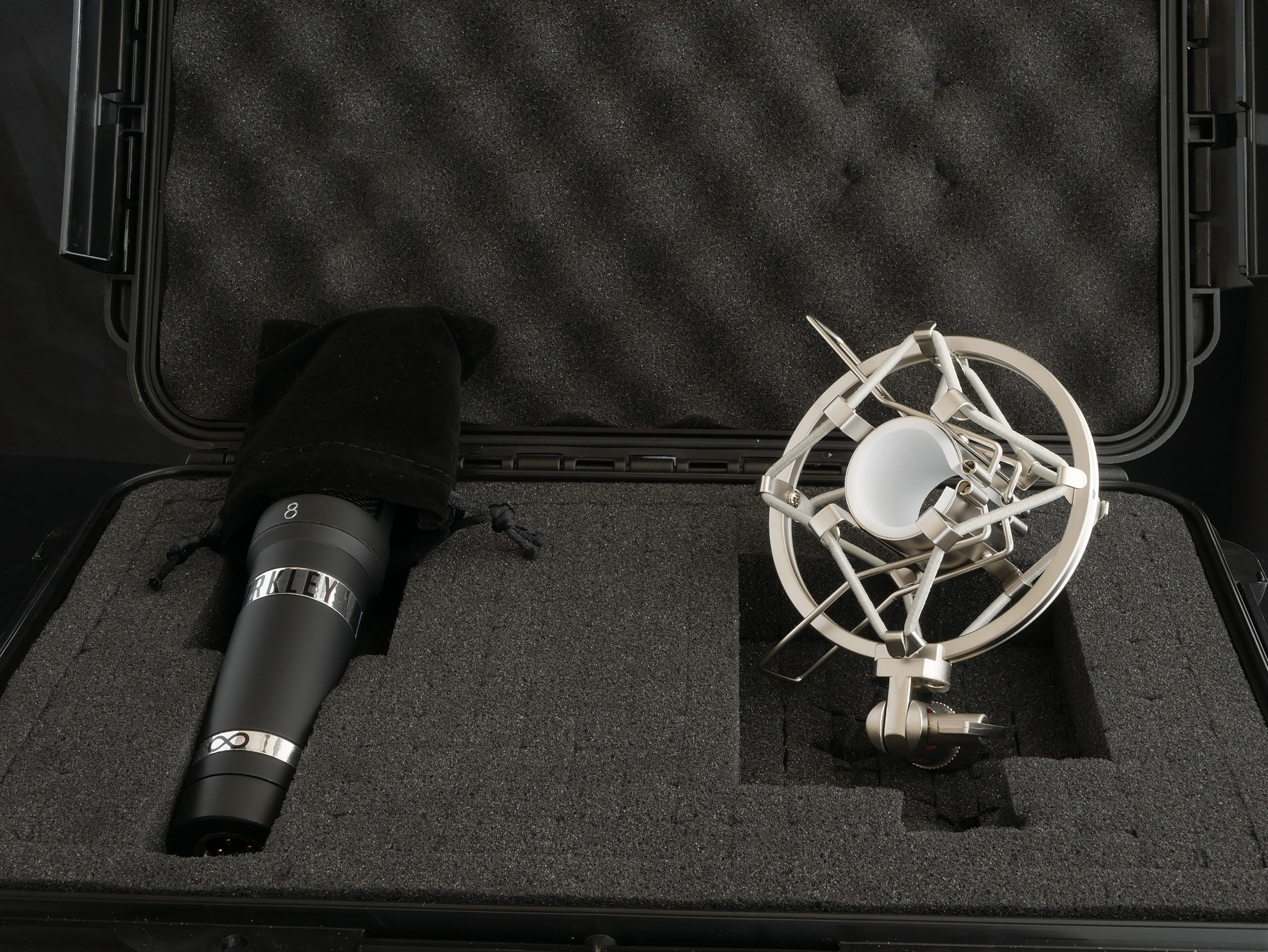 Barkley Infinity Studio Ribbon Microphone Incredible Mic for Trumpet