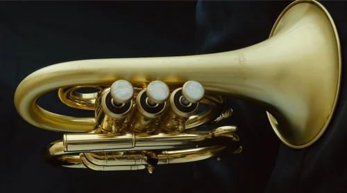ACB Doubler's Large Bell Pocket Trumpet NEW 2026 FINISH OPTION!