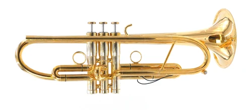 A Rare Beast indeed:   Monette MF Trumpet in Polished  Gold Plate