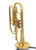 Trent's Prototype S.E. Shires Model CN7B Cornet in Raw Brass 