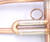 AR Resonance Sergei Nakariakov Trumpet in brushed Lacquer 